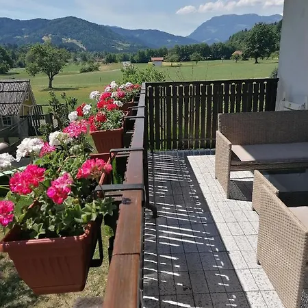 Novak Ljubno