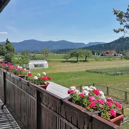 Novak Appartamento Ljubno