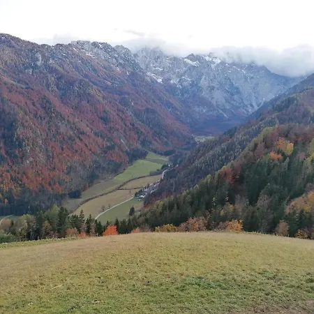 Novak * Ljubno