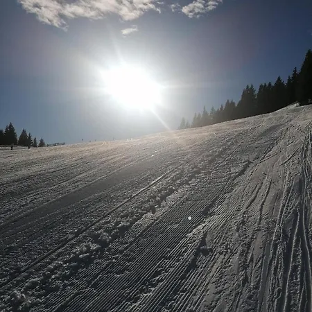 Novak Appartamento *