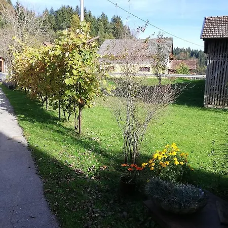 Novak Ljubno